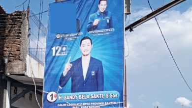 Sandy Bela Saktii