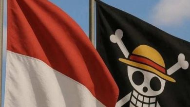 Bendera One Piece