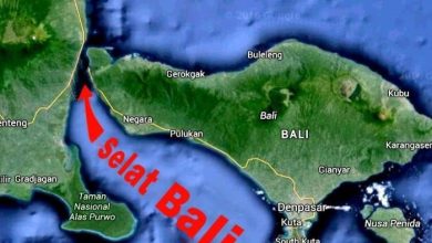 Selat Bali