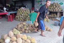Durian dari Lebak yang mulai dipasarkan. Foto: LKBN Antara
