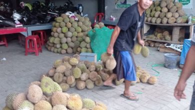 Durian dari Lebak yang mulai dipasarkan. Foto: LKBN Antara
