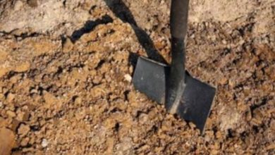 Ilustrasi pembongkaran makam. Foto Istimewa