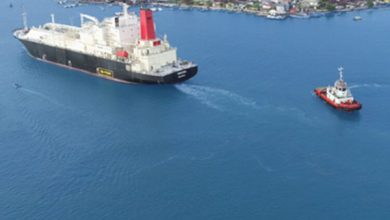 Ilustrasi kapal Parbulk II AS. Foto: Istimewa