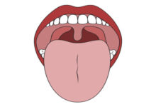 Ilustrasi Lidah. Foto: Stockphoto