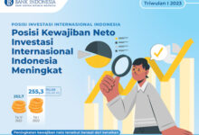 Posisi investasi internasional (PII) Indonesia. Foto: Bank Indonesia