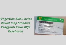 Infofrais penjelasan KRIS. Foto: Istiewa