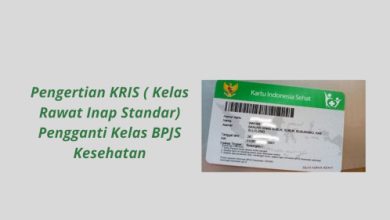 Infofrais penjelasan KRIS. Foto: Istiewa