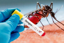 Kasus Dengue