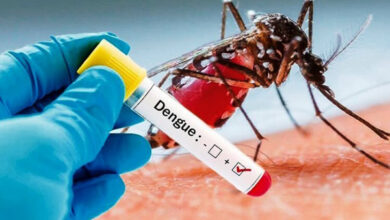 Kasus Dengue