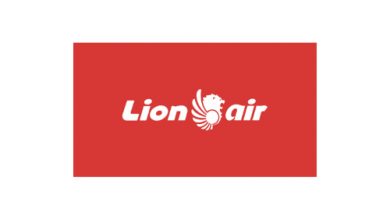 Logo Lion Air Group. Foto: Istimewa