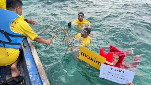 Penanaman Terumbu Karang di Serang dan Cilegon oleh Maxim. Foto: Humas Maxim Indonesia