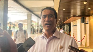 Menteri Pertanian, Andi Amran Sulaiman. Foto: Antara