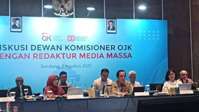 Diskusi Dewan OJK. Foto: Antara