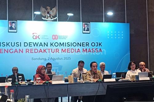 Diskusi Dewan OJK. Foto: Antara