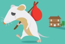 Cara Mengusir Tikus