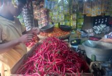 Harga Cabai