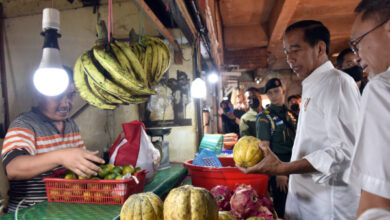 Presdien RI, Joko Widodo cek harga di pasar tradisional Jakarta jelang Lebaran. Foto: BPMI SatPres RI