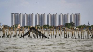 Pemagaran laut sepanjang 30,16 Km di Kabupaten Tangerang. Foto: Antara