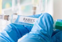 penyakit rabies