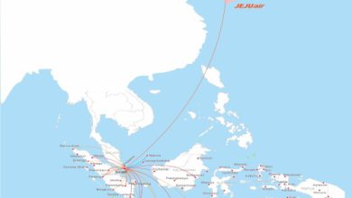 Peta rute peerbangan Lion Air Group - Jeju Air, Korea Selatan. Foto: Humas Lion Air Group