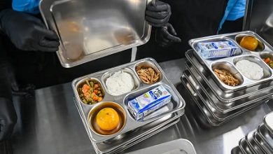 Makan Bergizi Gratis