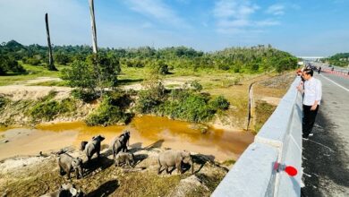 pembangunan infrastruktur