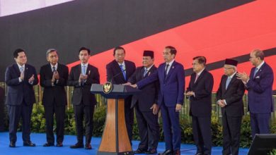 Peluncuran BPI Danantara. Foto: Antara