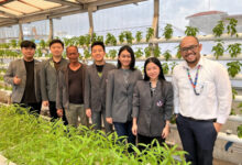 Mahasiswa UPH menerapkan smart indoor hidroponik. Foto: PR UPH