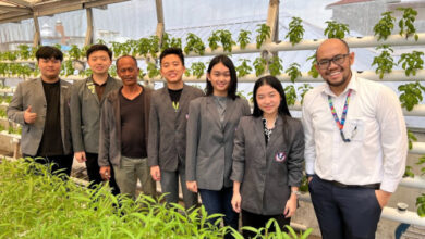 Mahasiswa UPH menerapkan smart indoor hidroponik. Foto: PR UPH