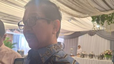 Presidr PT Freeport Indonesia, Tony Wenas. Foto: Antara