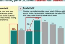 angka stunting