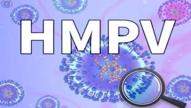 Virus HMPV