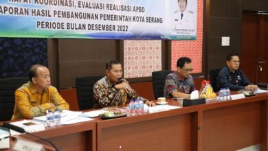 realisasi pendapatan