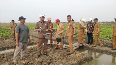 Kota Serang