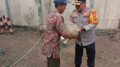 Kapolres Serang, AKBP Condro Sasongko mengembalikan 4 kambing milik Abdullah yang dicuri. Foto: Yono