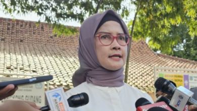 Aditia Irawati, Jubir Kepresidenan. Foto: Antara