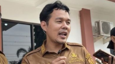 Aigis Nur Aulia, Wakil Walikota Serang. Foto: Antara