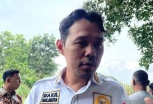 Agis Nur Aulia, Wakil Wali Kota Serang. Foto Antara