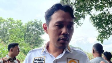 Agis Nur Aulia, Wakil Wali Kota Serang. Foto Antara