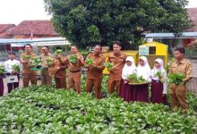 Wakil Walikota Serang, Nur Agis Aulia panen hasil urban farming di SDN Banjarsari. Foto: Antara