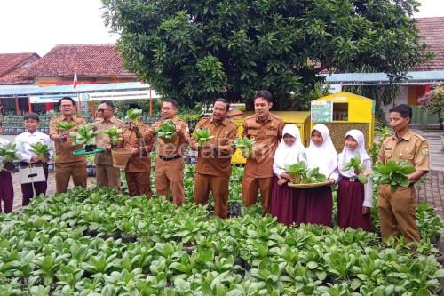 Wakil Walikota Serang, Nur Agis Aulia panen hasil urban farming di SDN Banjarsari. Foto: Antara
