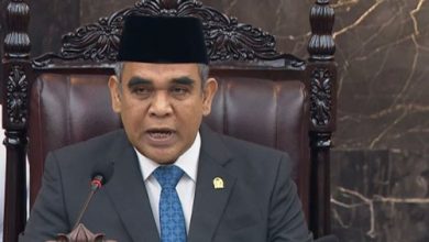 Ahmad Muzani, Ketua MPR RI. Foto Antara