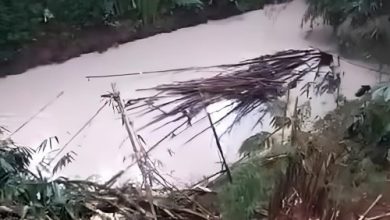 Air sungai di Serpong, Tangsel tampak berbusa dan berbau tak sedap. Foto Antara