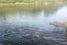 Pencemaran air Sungai Cisadane menyebabkan air menghitam. Foto Biro Adpim Banten