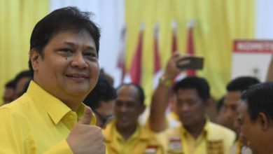 Ketua Umum Partai Golkar, Airlangga Hartato. Foto: Istimewa