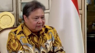 Airlangga Hartarto, Ketua Umum DPP Partai Golkar. Foto: Antara