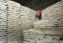 Tumpukan beras. Foto: Istimewa