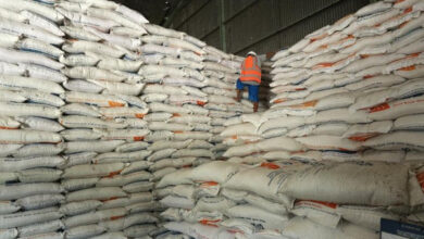 Tumpukan beras. Foto: Istimewa