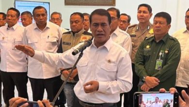 Andi Amran Sulaiman, Kepala Bapanas sekaligus Menteri Pertanian. Foto Antara
