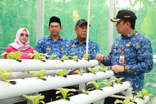 Pj Bupati Tangerang, Andi Oni meninjau pertanian hidroponik. foto: Antara